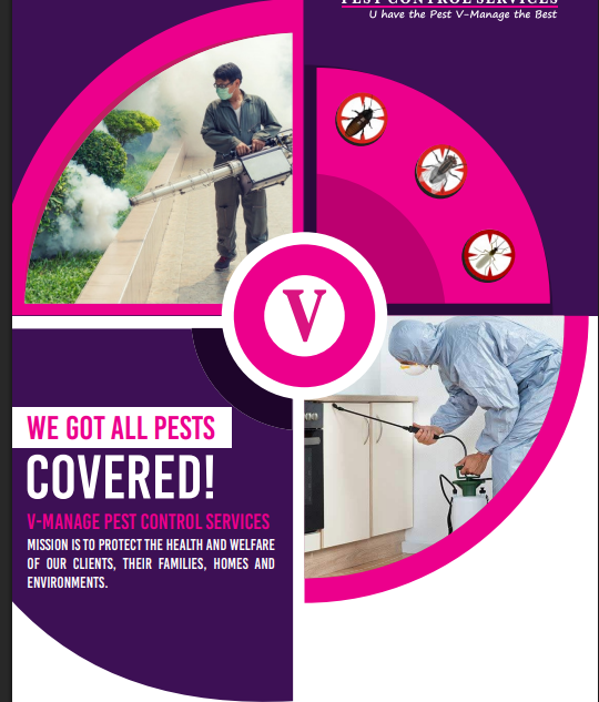 Pest Control Icon